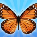 MergeButerfly: 2048!